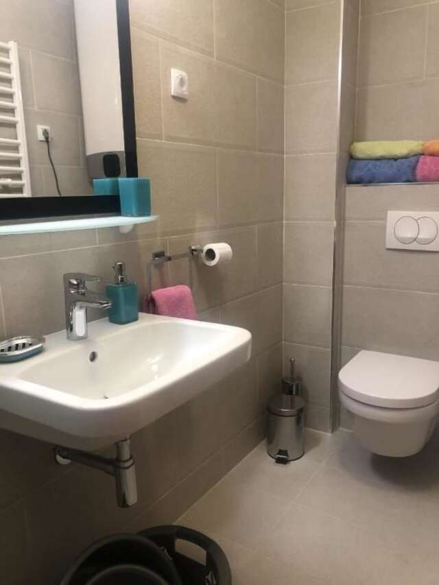 Апартаменты One bedroom apartment Jasmine Пржно-33